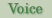 Voice